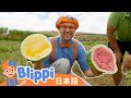 のうじょうにいこう | Blippi 日本語 - 幼児向け教育動画