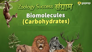 Carbohydrates | Biomolecules | Zoology | NEET 2021 & 2022 | Priyanka Ma'am @GradeupNEETPreparation