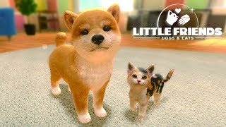 Little Friends: Dogs & Cats - Pet Care Kids Games - Episode 1 - Nintendo Switch Gameplay screenshot 5