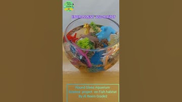 Cambridge  Science  Project Fish Habitat | Grade 2| Environnement  and Habitat  |  Project Ideas