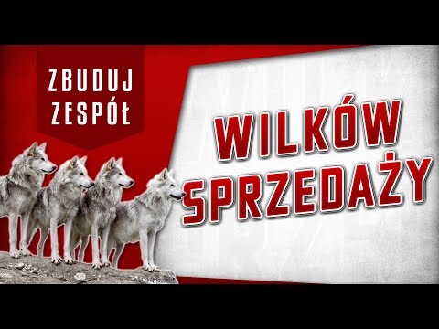 Wideo: Jak Zbudować Hierarchię Celów