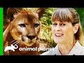 Terri Irwin Visits A Wildlife Sanctuary Very Close To Her Heart | Crikey! It's The Irwins