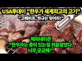 [해외반응]한우가 세계최고의 고기로 미국메인 일간지 USA투데이에 선정/미국인들 한우가 뭐야?/한국의 소고기 한우를 먹고싶어 난리가 난 상황!/당장 한우를 수입해주세요!