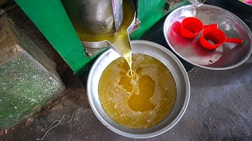 Quy trình ép dầu sạch nguyên chất vàng ươm từ đậu phộng