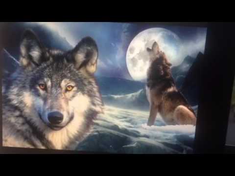 Twin Flames - YOU are not a Lone WOLF - YouTube