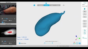 Revopoint POP and POP2 Color Scans of the Same Yam With v4.2 Revoscan