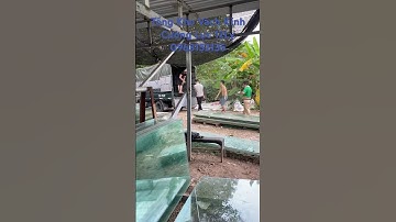 Tổng Kho Vách Kính Cường Lực 12 Ly | 0963152135 #vachkinhvanphong #vachkinh #kinhcuongluc #shorts