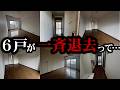 ㊗️10万回再生！築32年1K6戸をリノベーションしてみた結果…ビフォーアフター【川崎市 リノベ賃貸】【満室御礼✨】