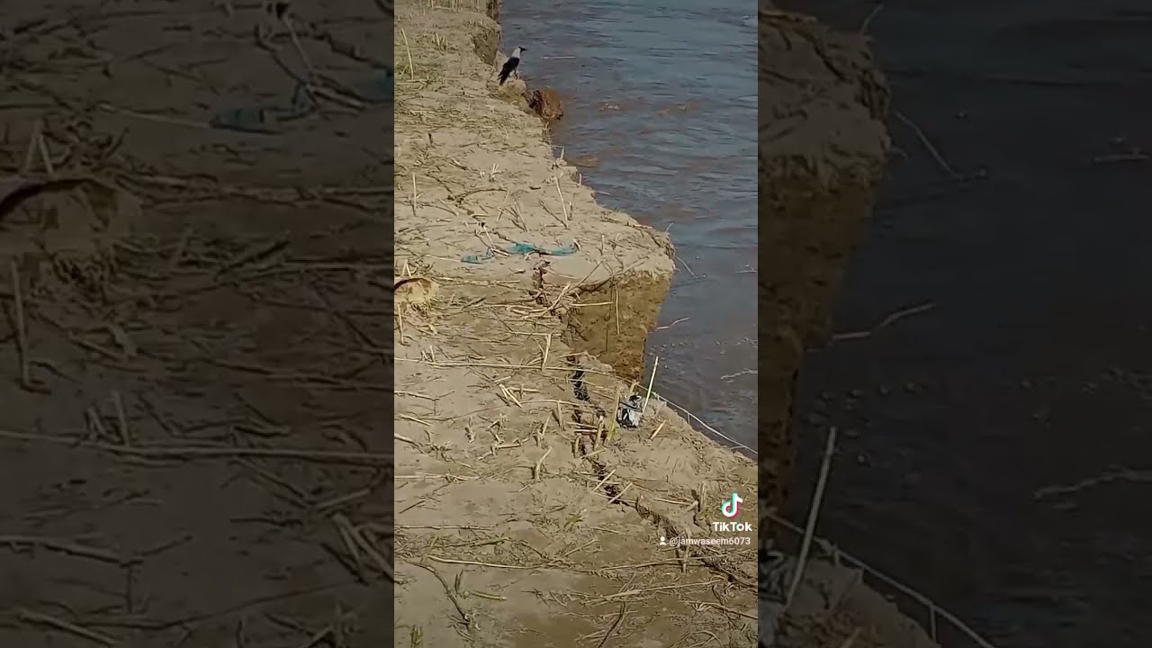 Drya chanab dangerous position