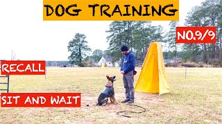 GERMAN SHEPHERD/DOG TRAINING (RECALL, SIT AND WAIT)