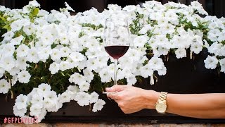 #GFPlaylist: Wine Tasting at The Boarding House