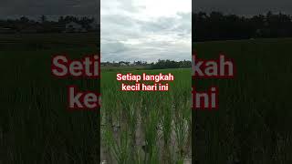 Download Lagu Hidup bukan menunggu waktu yang tepat #quotes #katakatabijak #motivasi MP3 Download Lagu Hidup bukan menunggu waktu yang tepat #quotes #katakatabijak #motivasi MP3