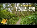 4K Forest Walk along Middle Fork Snoqualmie River Trail - Hiking with relaxing nature sounds