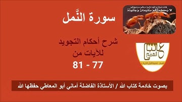 سورة النمل: شرح أحكام التجويد للآيات من 77 إلى 81