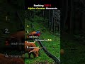 Ranking TOP 5 Alpine Coaster Moments