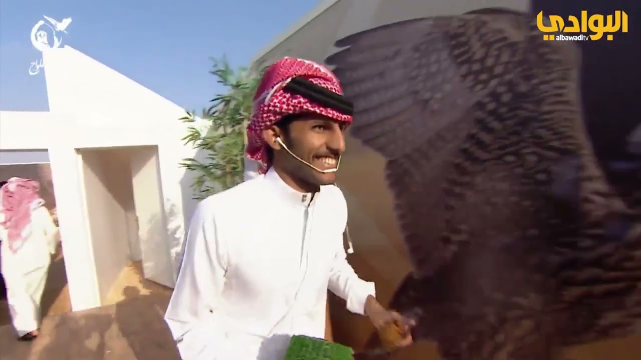 سباق الملواح | فئة جرموش بيور فرخ | نادي الصقور السعودي 17-11-2023