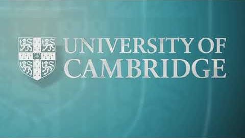 ASCW03 | Prof. Christoph Thiele | On singular Brascamp Lieb integrals