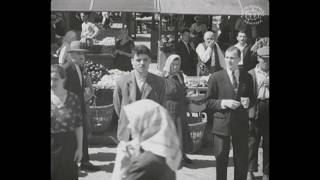 Beograd 1932. Izgledi Jovanove ili Velike pijace -drugi deo. Beograd 1932. Izgledi Jovanove ili Velike pijace -drugi deo.