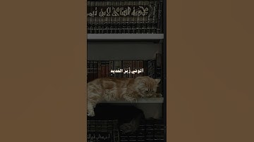 ﴿آتوني زبر الحديد حتى إذا ساوى بين الصدفين قال انفخوا﴾ | سورة الكهف | الشيخ علي جابر