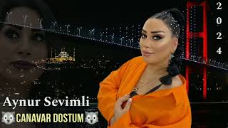 Aynur Sevimli - Canavar Dostum - 2024  Resimi