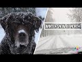 Winter Snow at North | Snow Nature Relaxation 2022