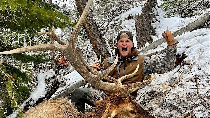 Utah Manti LaSal Late season Elk hunt ￼