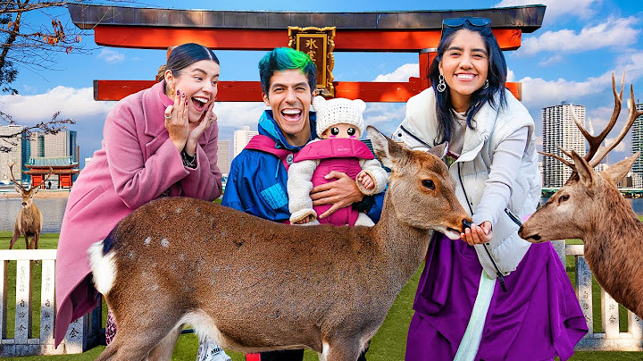 WHERE DEER ROAM FREE IN JAPAN | POLINESIOS