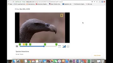 EdPuzzle Demonstration Screencast