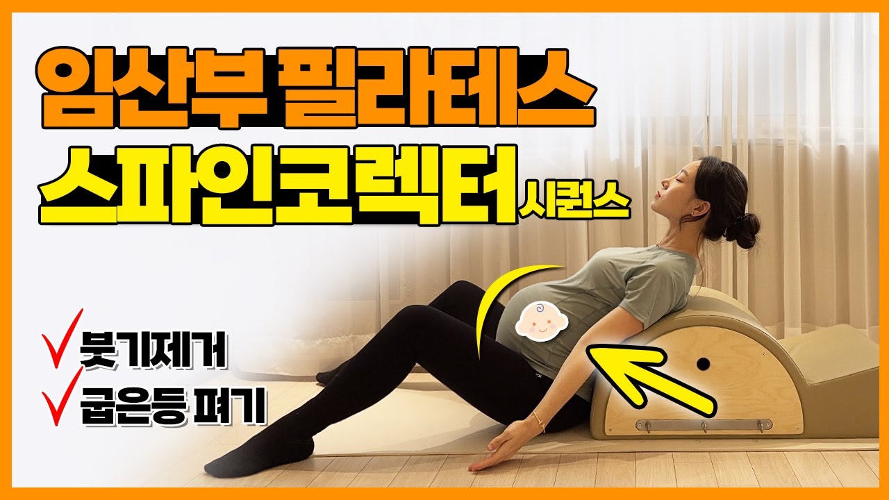 임산부 필라테스 부종, 붓기제거에 좋은 스파인코렉터 시퀀스