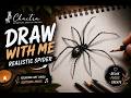 Relaxing Drawing ✍️ | Draw With Me Spider Sketch