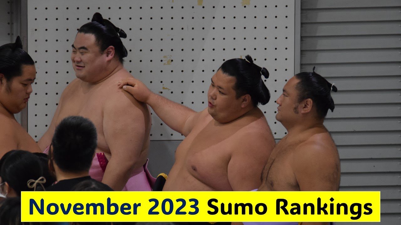 Sumo Review 2023 