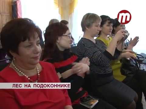 Лес на подоконнике