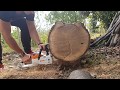 STIHL MSA 140 C-BQ Chainsaws Cutting 47cm. Log