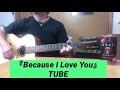 『Because I Love You』TUBE  by酔っぱらいの弾き語り