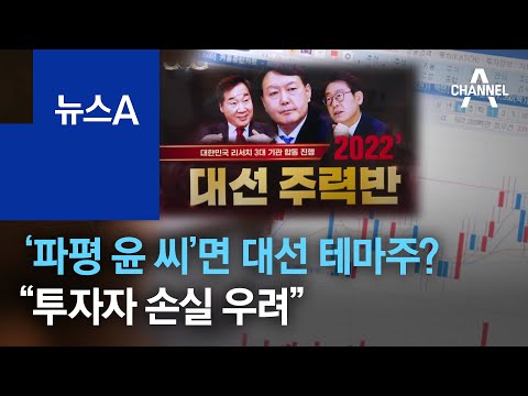오너가 ‘파평 윤 씨’면 대선 테마주?…“투자자 손실 우려” | 뉴스A