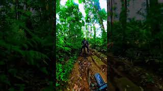 Asik main Push bike di jalur MTB 🤭😁 #mtbindonesia #insta360 #gowesindonesia #polygonindonesia