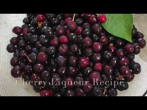 Video: Isang Simpleng Recipe Ng Cherry Liqueur