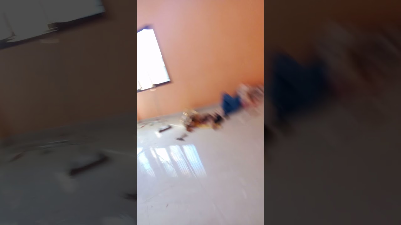 Tecto falso e divisórias 878139217