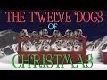 12 Days Of Christmas (Dog Version)