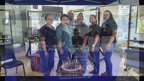 PNCC Lynk Launch Video