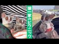 猿の家族のピクニック【ショウガラゴのピザトル】