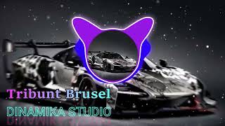 Tribunt Brusel -  Dinamika Studio | ASIA HUNTER
