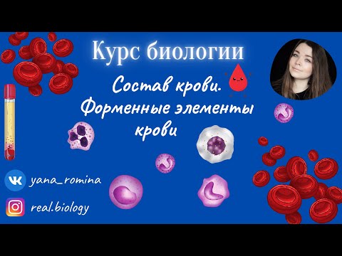 Состав крови. (Плазма и форменные элементы крови)