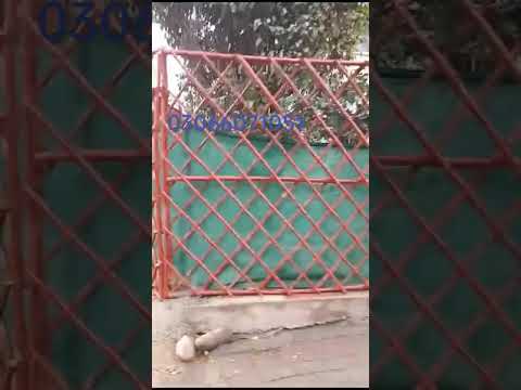 Qasim Market Bamboo In Prayed Laien