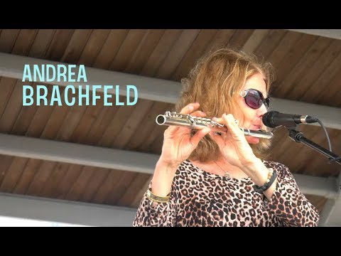 Jersey City Jazz for Lunch - Andrea Brachfeld