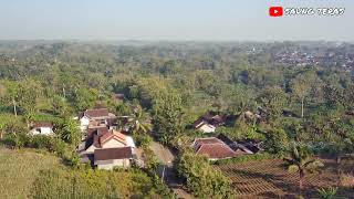 #sjrcf11 #sjrcf114kpro #sjrcf11pro #sjrc VIDEO DRONE SJRC F11 4K PRO || DI PERKAMPUNGAN #saungteras