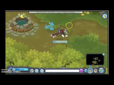 The Phantom Portal Animal Jam Adventure!