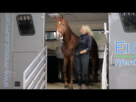 Video: Vorbereiten Ihres Eigentums, um ein Pferd zu Hause zu halten