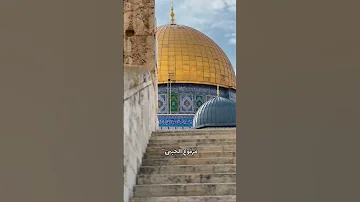 أصالة نصري فلسطين عربية شهدائنا قوافل فلسطين 