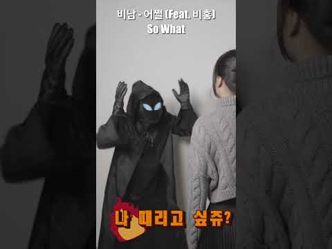 어쩔송! 어쩔티비 저쩔티비 안물티비 안궁티비